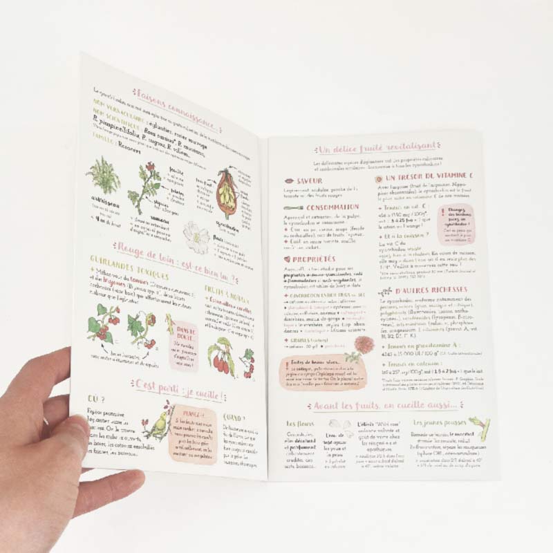 Le cynorhodon ou églantine, contient 8 à 25 fois plus de vitamine C que le citron ou l'orange. A quoi bon s'en priver, cela peut même être gratuit car avec ce dépliant riche et concis vous apprendrez à identifier le cynorhodon, à cueillir les baies de cynorhodon et même à cuisiner le cynorhodon ! C'est aussi l'occasion d'apprendre le vocabulaire botanique grâce aux belles illustrations réalistes et fidèles réalisées à l'aquarelle par une artiste graphiste accompagnées des explications techniques mais accessible de Caroline "Calendula". L'enfant sera curieux de savoir comment reconnaître cette plante sauvage et découvrira naturellement la botanique.