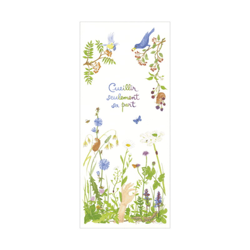 Dessin de nature sur une chouette carte de correspondance joliment illustrée à l'aquarelle. Impression en Bretagne par l'aventure au coin du bois.